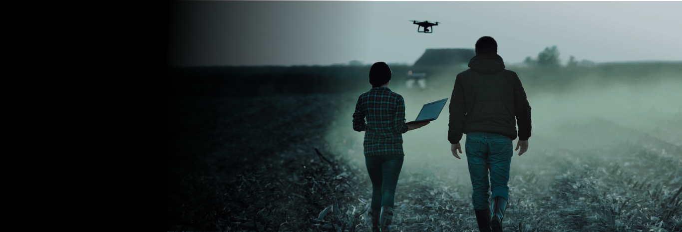 Pessoas no campo acompanhando um drone que monitora a produção e condições.